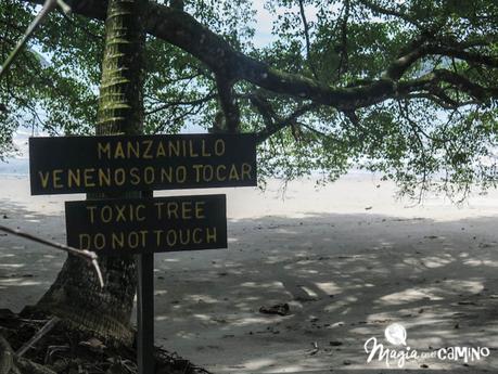Visitar el Parque Nacional Manuel Antonio