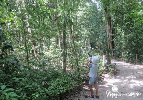 Visitar el Parque Nacional Manuel Antonio