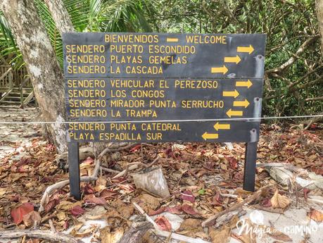 Visitar el Parque Nacional Manuel Antonio