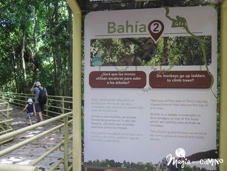 Visitar el Parque Nacional Manuel Antonio