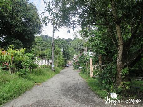 Visitar el Parque Nacional Manuel Antonio