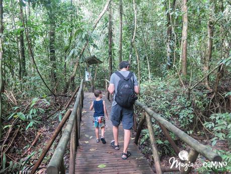 Visitar el Parque Nacional Manuel Antonio