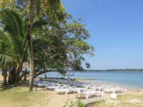 Nuestra experiencia en Bocas del Toro: isla Colón, excursiones y paseos
