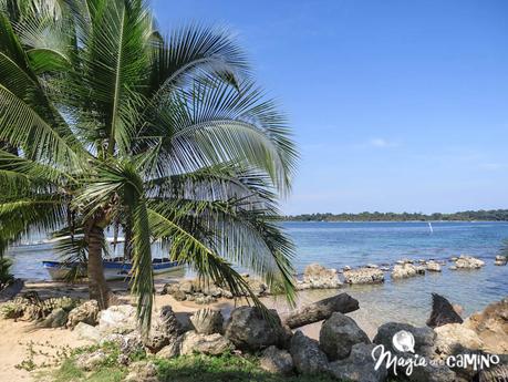 Nuestra experiencia en Bocas del Toro: isla Colón, excursiones y paseos
