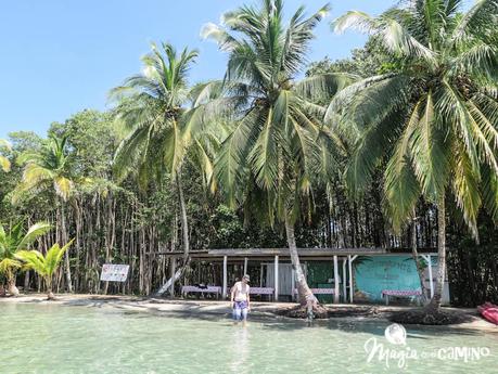 Nuestra experiencia en Bocas del Toro: isla Colón, excursiones y paseos