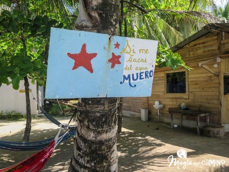 Nuestra experiencia en Bocas del Toro: isla Colón, excursiones y paseos