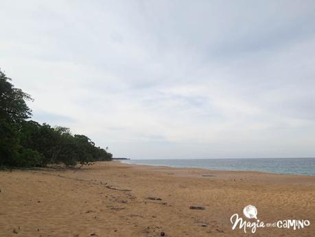 Nuestra experiencia en Bocas del Toro: isla Colón, excursiones y paseos