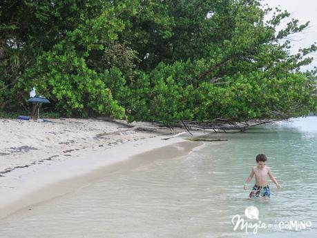 Nuestra experiencia en Bocas del Toro: isla Colón, excursiones y paseos