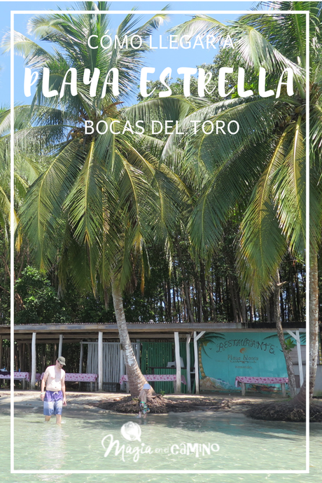 Nuestra experiencia en Bocas del Toro: isla Colón, excursiones y paseos