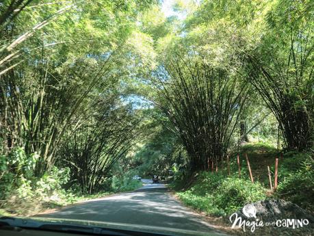 Nuestra experiencia en Bocas del Toro: isla Colón, excursiones y paseos