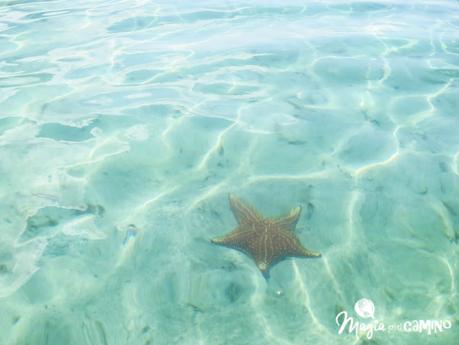 Nuestra experiencia en Bocas del Toro: isla Colón, excursiones y paseos