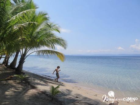 Nuestra experiencia en Bocas del Toro: isla Colón, excursiones y paseos