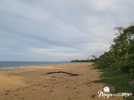 Nuestra experiencia en Bocas del Toro: isla Colón, excursiones y paseos