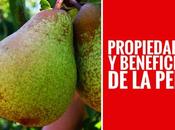 frutas refrescantes, sabrosas nutritivas...