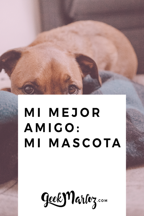 Mi mejor amigo: mi mascota