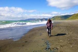Hiking-The-Lost-Coast-300x200 ▷ Costa Perdida: Senderismo La costa más escarpada de California