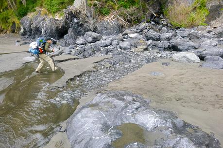 P1010553 ▷ Costa Perdida: Senderismo La costa más escarpada de California