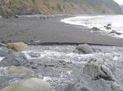 Costa Perdida: Senderismo costa escarpada California