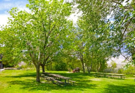 ▷ Descubrimiento increíble: Museo del este de California P1010587-800x550 ▷ Descubrimiento increíble: Museo del este de California