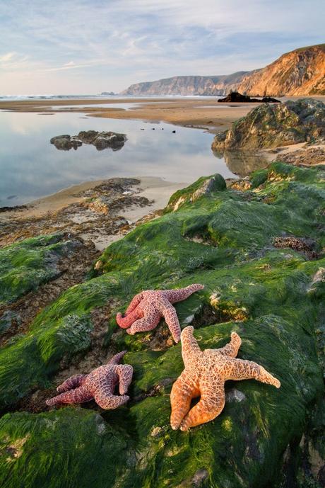MG_1182-683x1024 ▷ 25 fotos que te inspirarán a visitar la costa de California