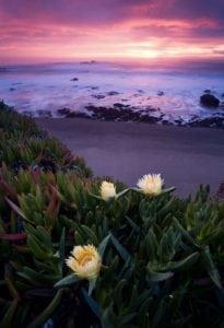 20061224-_MG_0192-205x300 ▷ 25 fotos que te inspirarán a visitar la costa de California