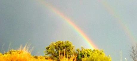 Un arcoiris y mil significados: #DíadelaPaz #MM