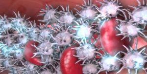 Tipos de células Tipos de células