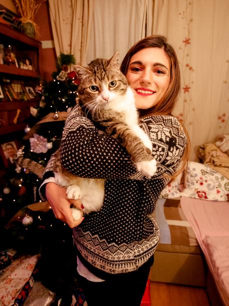 7 razones para no adoptar un gato 7 razones para no adoptar un gato