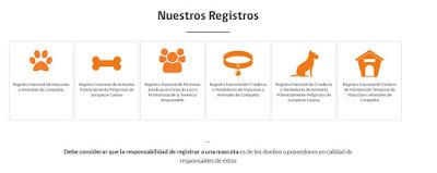 ¿Como registrar a tu mascota?