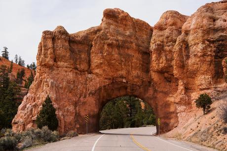 Utah-route-12-road-tunnel ▷ 5 perfectos viajes por carretera de Estados Unidos