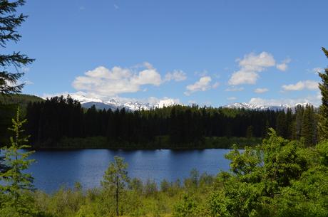 STELLEY-SWAN-REGION-MONTANA ▷ 51 descubrimientos asequibles en toda América 2019