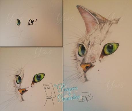 Dibujo de gato a lápiz de color