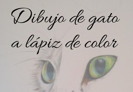 Dibujo de gato a lápiz de color