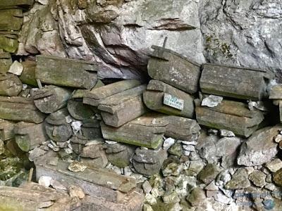 La trigu igorot y sus ataúdes colgantes. La trigu igorot y sus ataúdes colgantes.