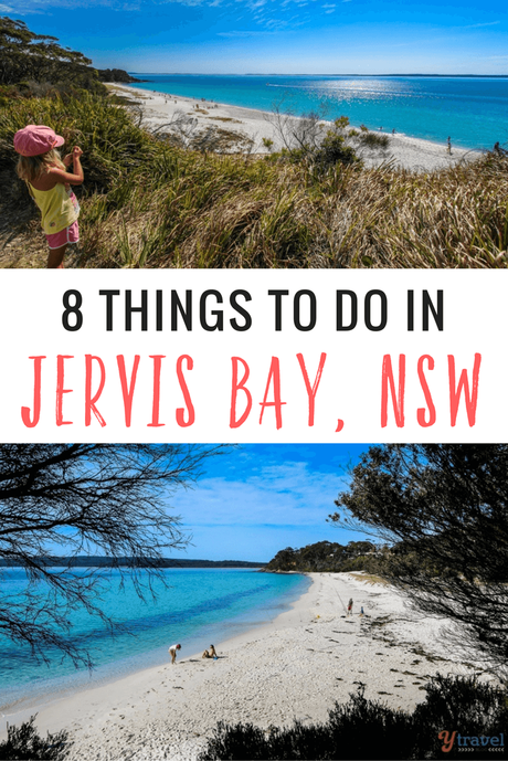 8-things-to-do-in-jervis-bay-nsw-australia-travel ▷ Comentario sobre 8 cosas que hacer en Jervis Bay, NSW por Cosas que hacer en Husky durante el fin de semana del Tri Festival - TriCrew