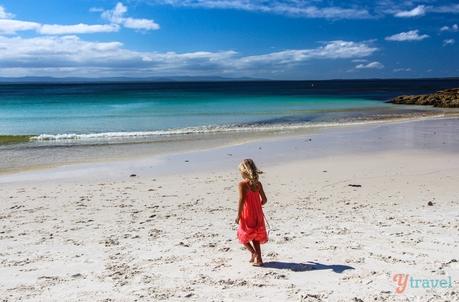 Green-Patch-007 ▷ Comentario sobre 8 cosas que hacer en Jervis Bay, NSW por Cosas que hacer en Husky durante el fin de semana del Tri Festival - TriCrew