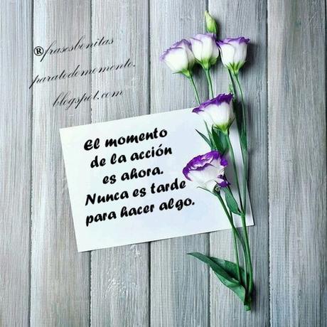 El momento de la acción es ahora. Nunca es tarde para hacer algo.