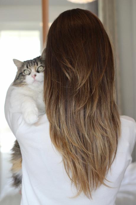 Conoce mi Cronograma Capilar