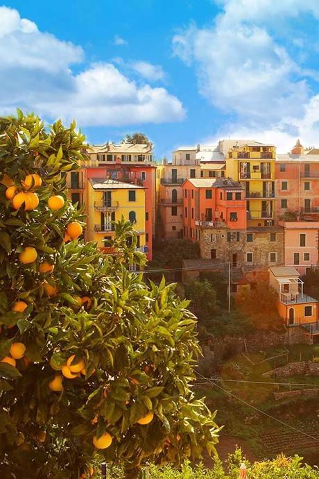 Corniglia-is-a-town-for-those-looking-for-a-quieter-stay-or-a-longer-vacation-in-Cinque-Terre.jpg.optimal ▷ Los mejores hoteles de Cinque Terre (y donde alojarse cerca)