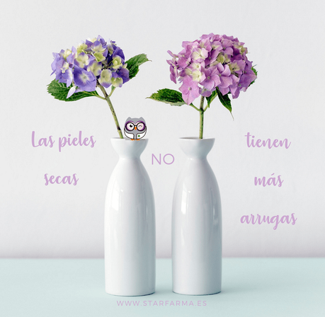 Las pieles secas no tienen más arrugas Las pieles secas no tienen más arrugas