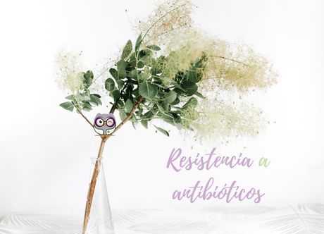 ¿Usas correctamente los antibióticos? ¿Usas correctamente los antibióticos?