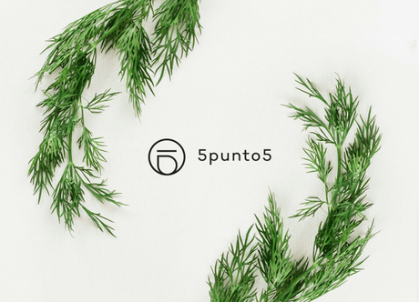 Entrevista a 5punto5