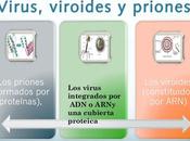 primeras imágenes tridimensionales viroides
