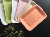 Maiz Piña transforman platos pueden plantar