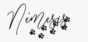 Deconstruyendo Deconstruyendo