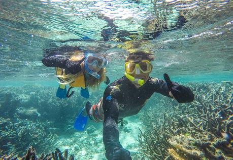 snorkelling-the-Great-Barrier-Reef ▷ ¡Comenta sobre sobre enseñando en Londres, Tailandia, Dublín, Australia, Raleigh y más allá!