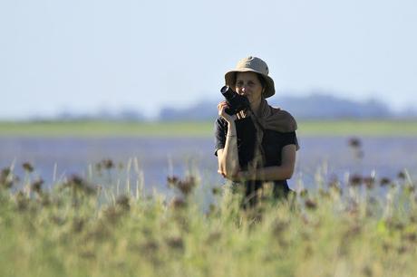 Censo Neotropical de Aves Acuáticas (febrero 2019)