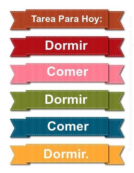 Tarea para hoy: Dormir, comer, dormir y comer.
