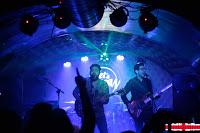 Super skinny en El Perro de la parte de atrás del coche