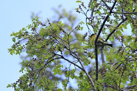 De Lihué Calel a San Martín de los Andes (octubre de 2018)